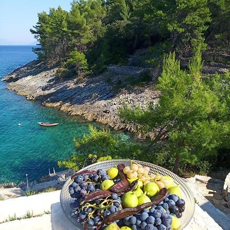 Modern Robinson Veli Bare Villa Vela Luka Exteriör bild